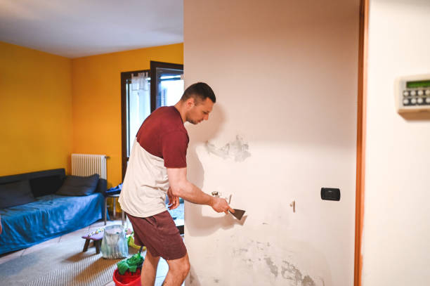 Best Emergency Mold Remediation in Onancock, VA